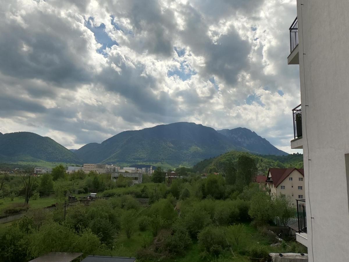 Panoramic Residence Zărneşti Exterior foto